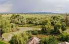 Apicola - Proprietate exclusiva in Delta Dunarii liniste absoluta, acces premium, potential investitional ridicat - 2