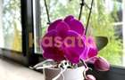 Apartament cu 3 camere decomandat în Băneasa - 16 Apartament cu 3 camere decomandat în Băneasa - 16