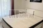 Apartament cu 2 camere decomandat în Podul de Fier - 8