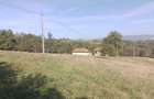 1,5 ha cu 2 case vechi, livada si izvor langa Via Transilvanica - 3