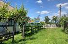 Răchitele de Jos,Arges,2 case 100 mp, teren 2000 mp, - 24