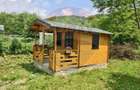 Proprietate de vis la munte | Foisor + Cabanuta | Utilitati complete - 4