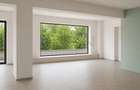 Spartiu comercial birouri Iancu Nicolae stradal bloc nou - 9