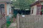 Vand casa la tara, complet utilata, doua locuinte in curte - 2