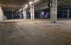 Spațiu industrial, de 5,500 mp, în Est - 8