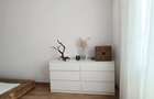 Apartament 3 camere Baile Herculane - 9