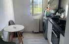 Persoana Fizica Inchiriez Apartament 2 Camere Bulevardul Primaverii Podu Ros - 7