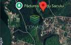 Oportunitate-Teren Snagov cu Deschidere Directa Lac si Padure 12.135mp - 2