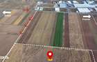 Teren Strategic 32.5 Ha|Direct la Nod Autostrada Bra?ov-Bacau|Logistic - 1