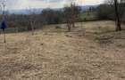 Teren de 2160 mp, în Dieci - 3