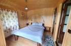 Cabana cu accesc la lac, 1400mp teren Colibita - 11