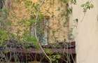Investitie in Dorobanti - Vila cu balcoane frantuzesti - Structura din beton - 10