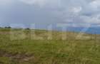 Teren extravilan 1249 mp in Copaceni! Oportunitate investiti - 1