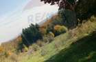 Teren ideal pentru glamping in Vladeni, aproape de Brasov - 4