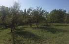 De vanzare teren intravilan, 11000 mp, pret negociabil, aflat in Drajna de Sus - 2