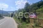 Teren extravilan de 2500 mp, în Rășinari - 6