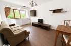 Apartament 2 camere decomandat, renovat, mobilat, Parcul Plumbuita - 5