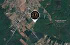 LOT DE VANZARE cu deschidere la padurea Snagov - 4