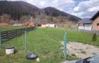 Vand teren in vama Buzaului JD BRASOV - 2