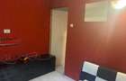 Apartament cu 2 camere decomandat în Ferentari - 5