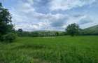 Domeniu 15.900 mp in Fintesti | Casa + Investitie Dealu Mare - 12