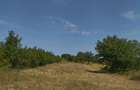 Teren 3400 comuna Daia la 200 m de DN5 Giurgiu-Bucuresti - 4