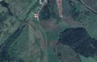 Teren de vanzare 2900 mp, Mera Noua (zona Cluj) - Elado telek 2900 m, Mera Noua - 2