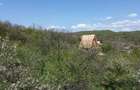 Teren de 2278 mp, în Jiblea Veche - 4