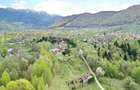 Teren de 5000 mp, în Predeluț - 13