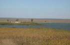 Teren extravilan de 90000 mp, în Istria - 9