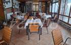 Vand restaurant Campulung Muscel - 2