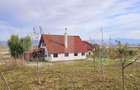 Casa de vanzare, sub padure, intr-un cadru natural deosebit Sancra - 2