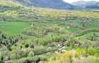 Teren de 5000 mp, în Predeluț - 7