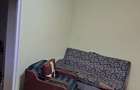 Apartament cu 3 camere decomandat în Grigorescu - 7