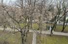 Floreasca-Barbu Vacarescu | 2 camere | modern | pet friendly - 6