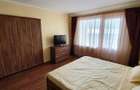 Apartament cu o camera de inchiriat in zona ultracentrala Ludus - 15