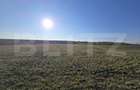 Teren agricol extravilan de 11000 mp, în Exterior Est - 1 Teren agricol extravilan de 11000 mp, în Exterior Est - 1