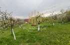 Casă cu 5 camere cu Canalizare în Tăuții-Măgherăuș - 13