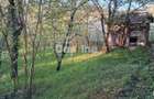 Casa batraneasca cu teren 1150 mp, vie si livada Serbanesti, Paus - 3