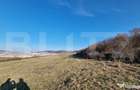 Teren extravilan, 5600mp, ideal investitie de viitor, zona V - 2
