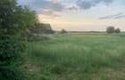 Vind Casa in localitatea Chislaz jud Bihor - 3
