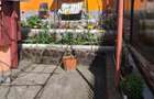 Casa de vanzare Sighisoara - 5