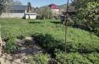 Casă cu 3 camere cu Teren 1497 Mp în Iara - 8