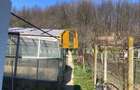 Casă cu 4 camere cu Teren 1236 Mp în Central - 16