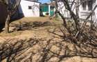 Casa 4 camere , teren 420 mp , Medeea - 1