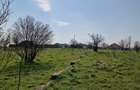 Ferma de vanzare 8 ha Bals, judetul Olt - 15