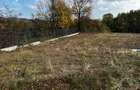 Vand 2 loturi de teren la Vladesti - 8