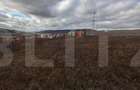 Teren de 4642 mp, în Baciu - 3