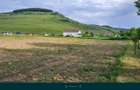 Teren de vanzare, acces asfaltat, 2900 mp - 1