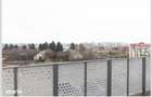 Apartament nou 2 camere modern in Luceafarul mobilat/utilat complet - 5